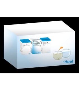 NUEVO HEEL KIT DETOX TERAPIA DETOXIFICACIÓN 50 X 3 COMPRIMIDOS