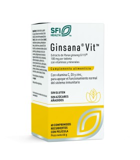 GINSANA VIT 60 COMP. RECUBIERTOS