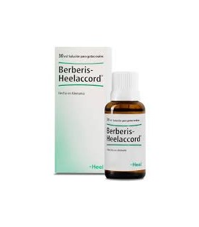 BERBERIS HOMACCORD GOTAS ORALES EN SOLUCION 1 ENVASE 30 ML
