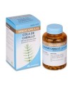 COLA DE CABALLO ARKOPHARMA 190 MG 200 CAPSULAS