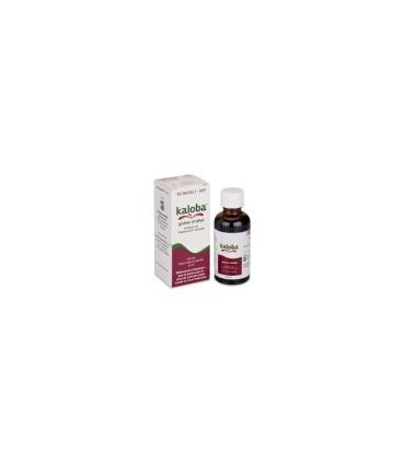 KALOBA GOTAS ORALES EN SOLUCION 1 FRASCO 50 ML