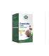 DEPURERBE FORTE 24 POCKET DRINK