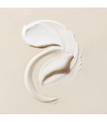 PRIMADERM XPERT COLLAGENEUR CREAM COMBINATION/OILY SKIN  1 TARRO 50 ML