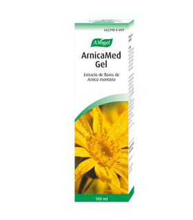 ARNICAMED 500 MG/G GEL CUTANEO 1 TUBO 100 ML