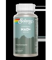 NAD+ LIPOSOMAL 500MG SOLARAY